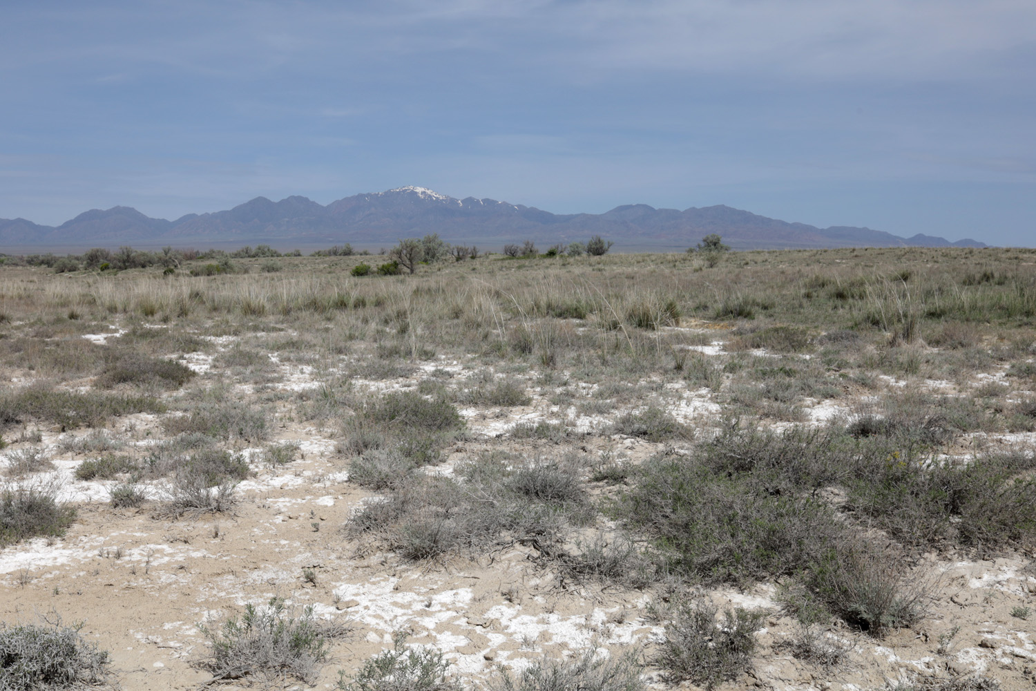 Мынбулак, image of landscape/habitat.