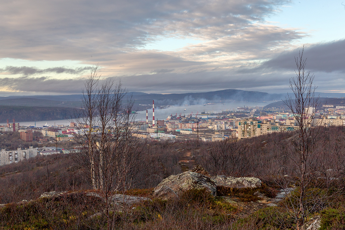 Горелая сопка, image of landscape/habitat.