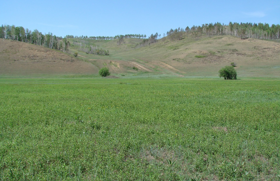 Жердовка, image of landscape/habitat.