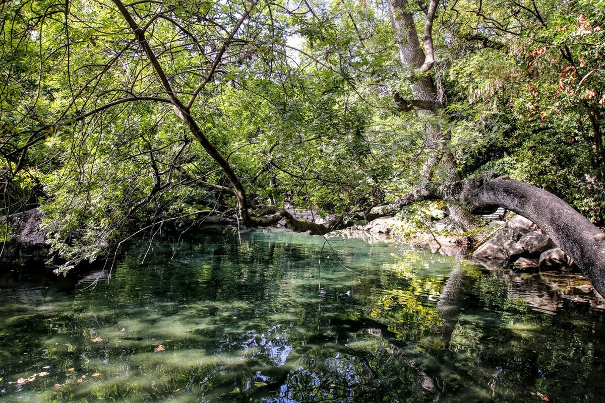 Алупкинский (Воронцовский) парк, изображение ландшафта.