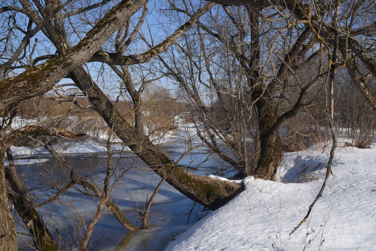 Окрестности деревни Беницы, image of landscape/habitat.