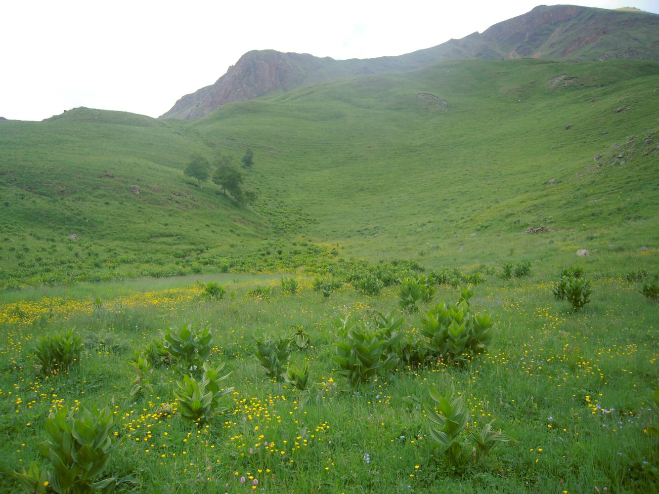 Урочище Джилы-Су, image of landscape/habitat.