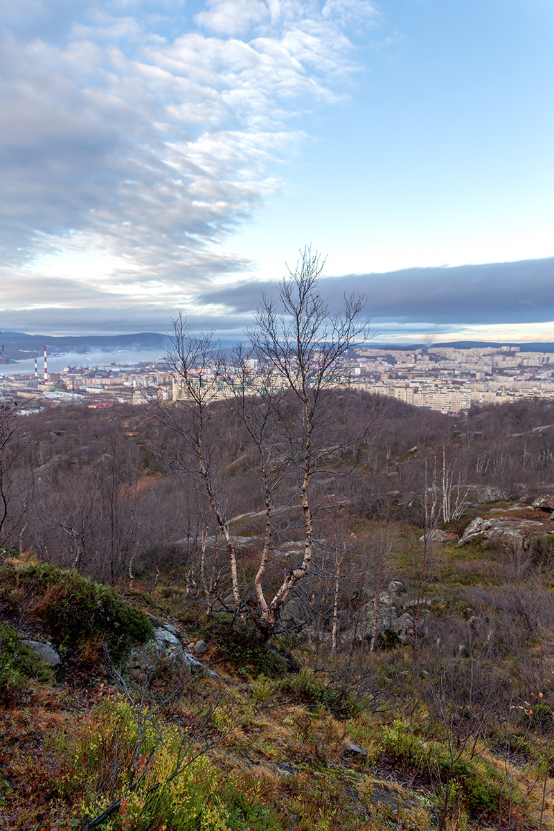 Горелая сопка, image of landscape/habitat.