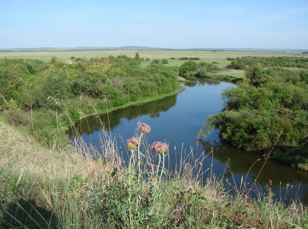 Жердовка, image of landscape/habitat.