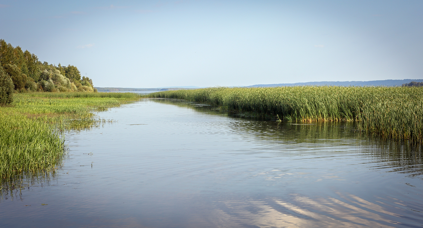 Кунчурихинский бор, image of landscape/habitat.