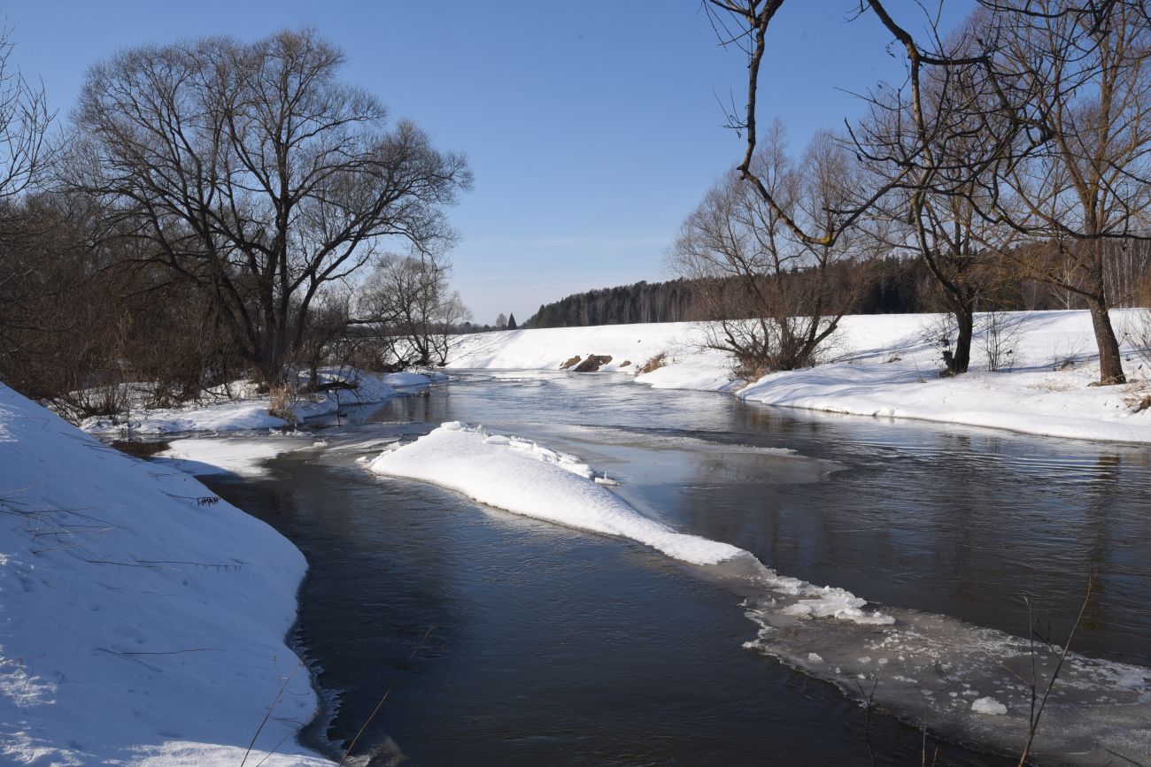 Окрестности деревни Беницы, image of landscape/habitat.