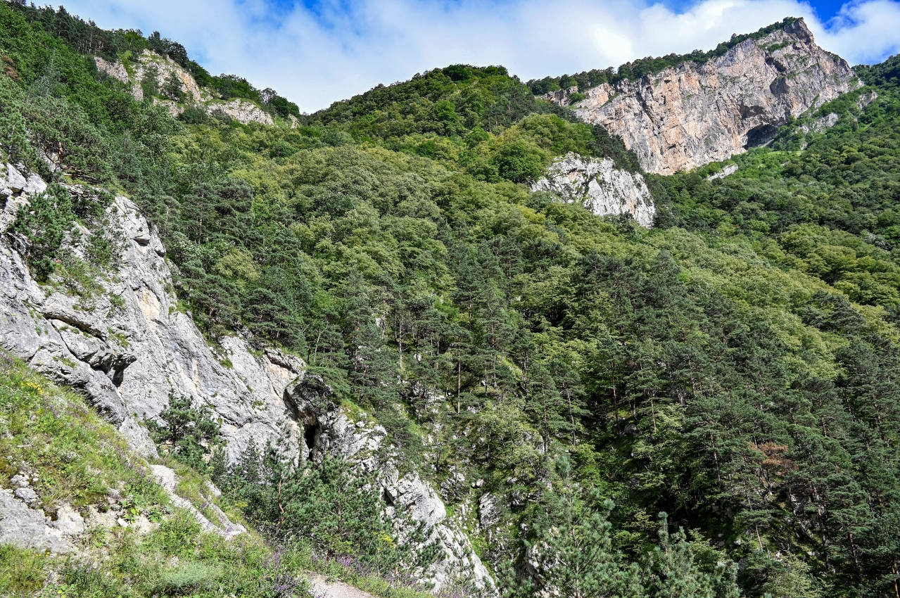 Кадаргаванский каньон, image of landscape/habitat.