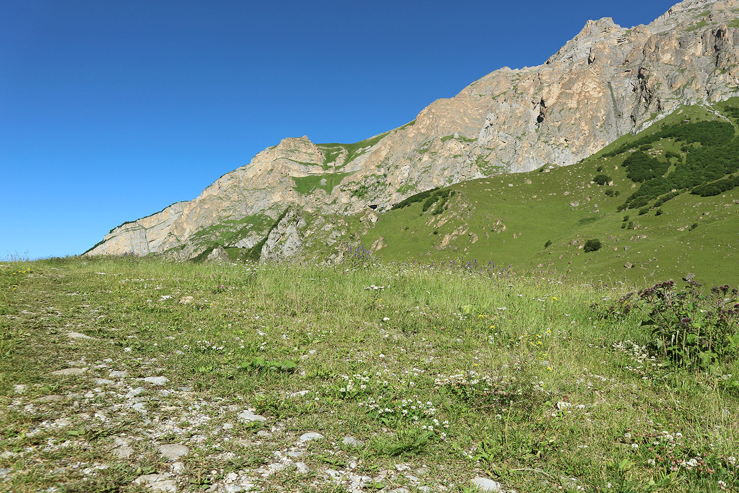 Псыгансу в верхнем течении, image of landscape/habitat.