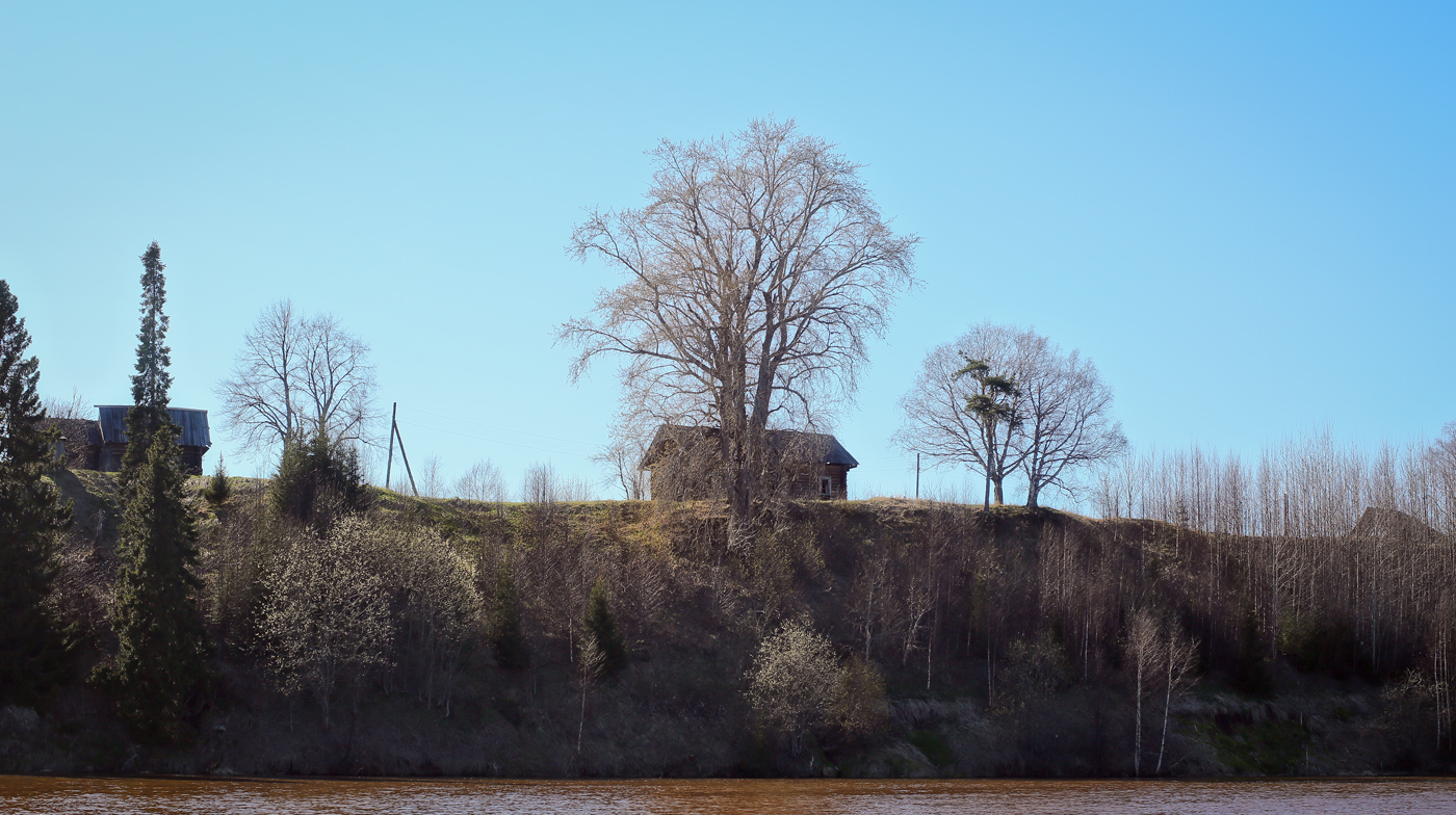 Низовья Косьвы, image of landscape/habitat.