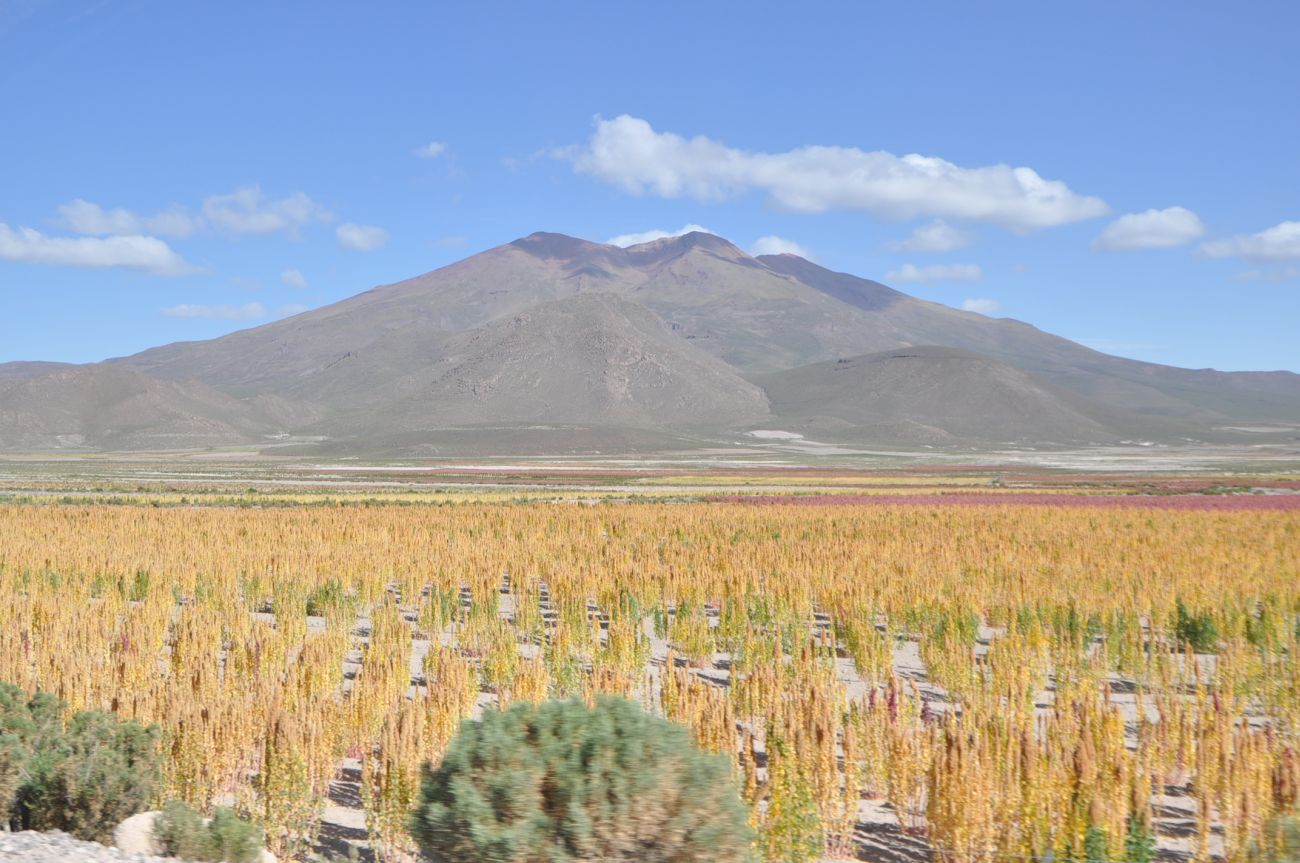 Окрестности села Сан-Хуан, image of landscape/habitat.