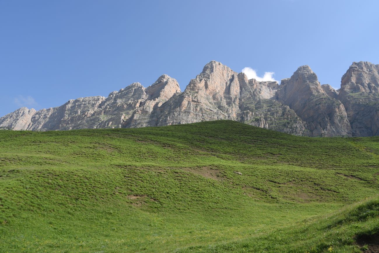 Окрестности урочища Ний, image of landscape/habitat.