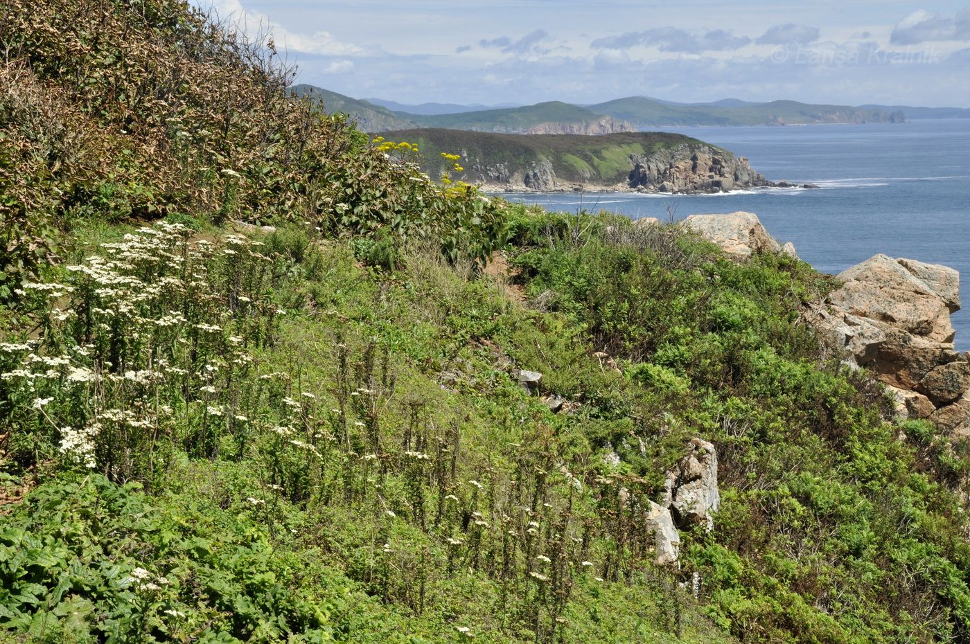 Остров Желтухина, image of landscape/habitat.