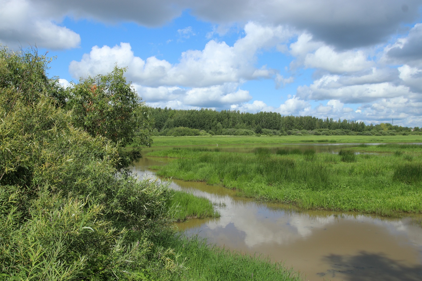 Окрестности музея «Витославлицы», image of landscape/habitat.