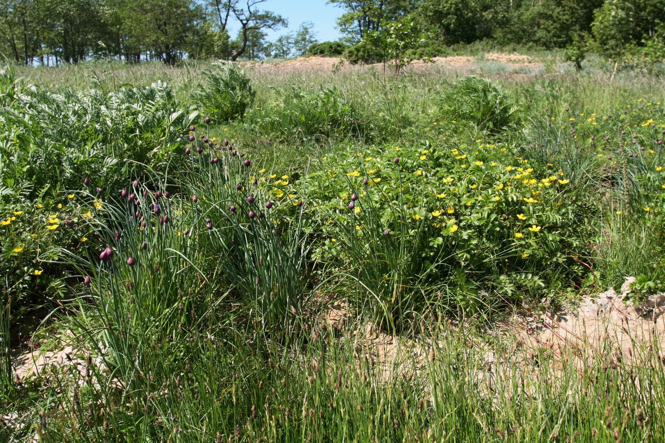 Каравалдай, image of landscape/habitat.