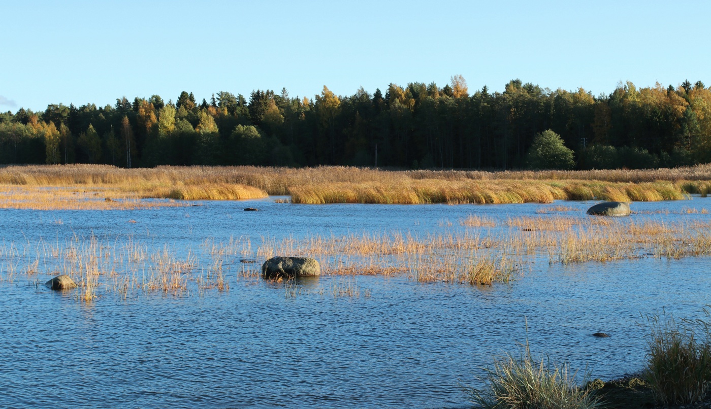 Каравалдай, image of landscape/habitat.