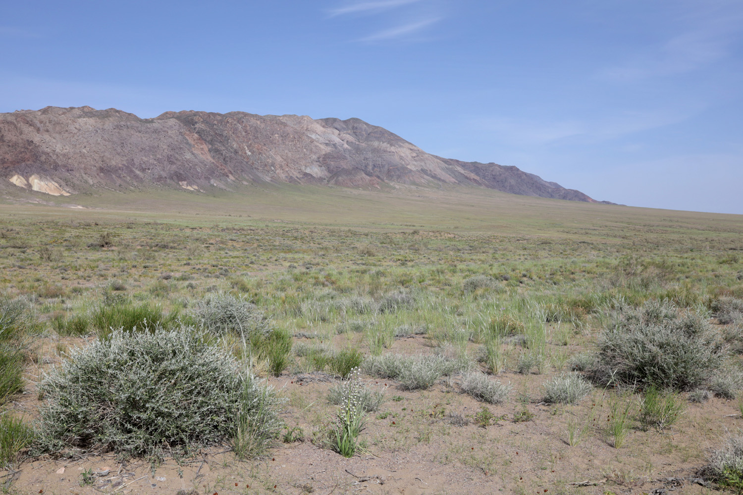 Айгайкум (Поющий бархан), image of landscape/habitat.