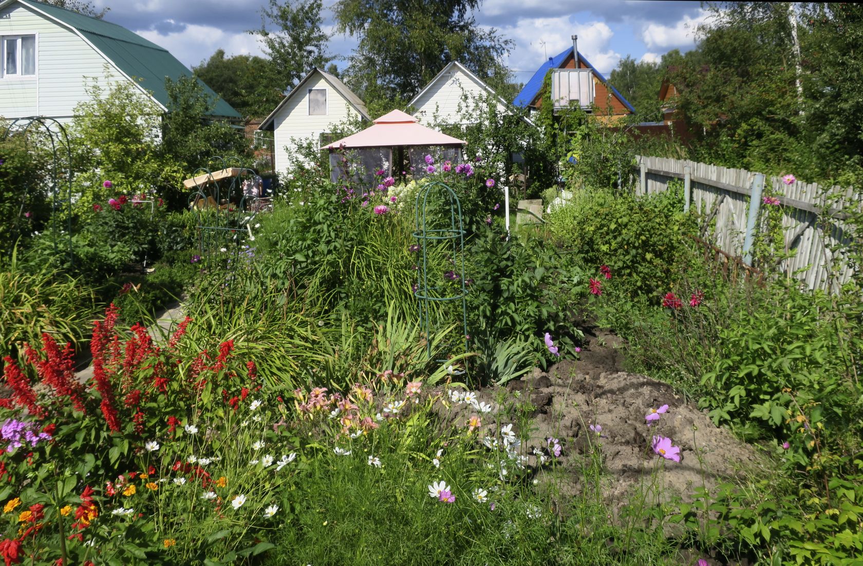 СНТ "Наука", image of landscape/habitat.