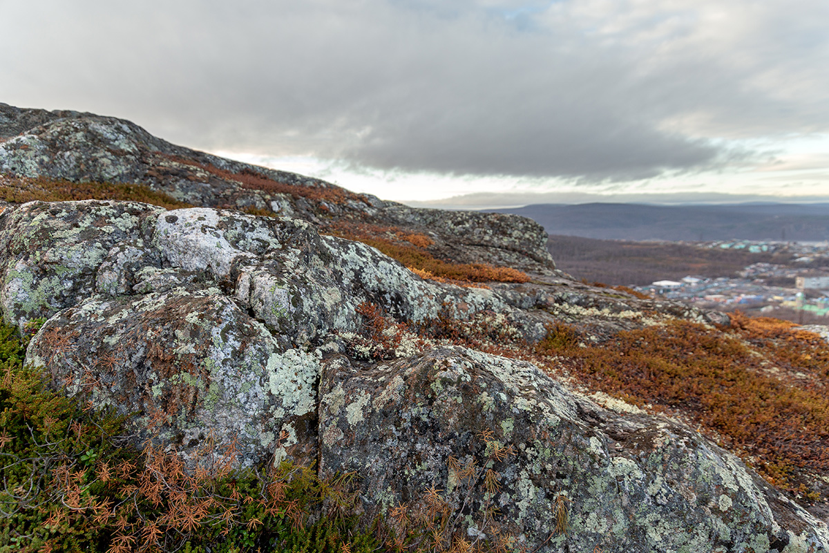 Горелая сопка, image of landscape/habitat.