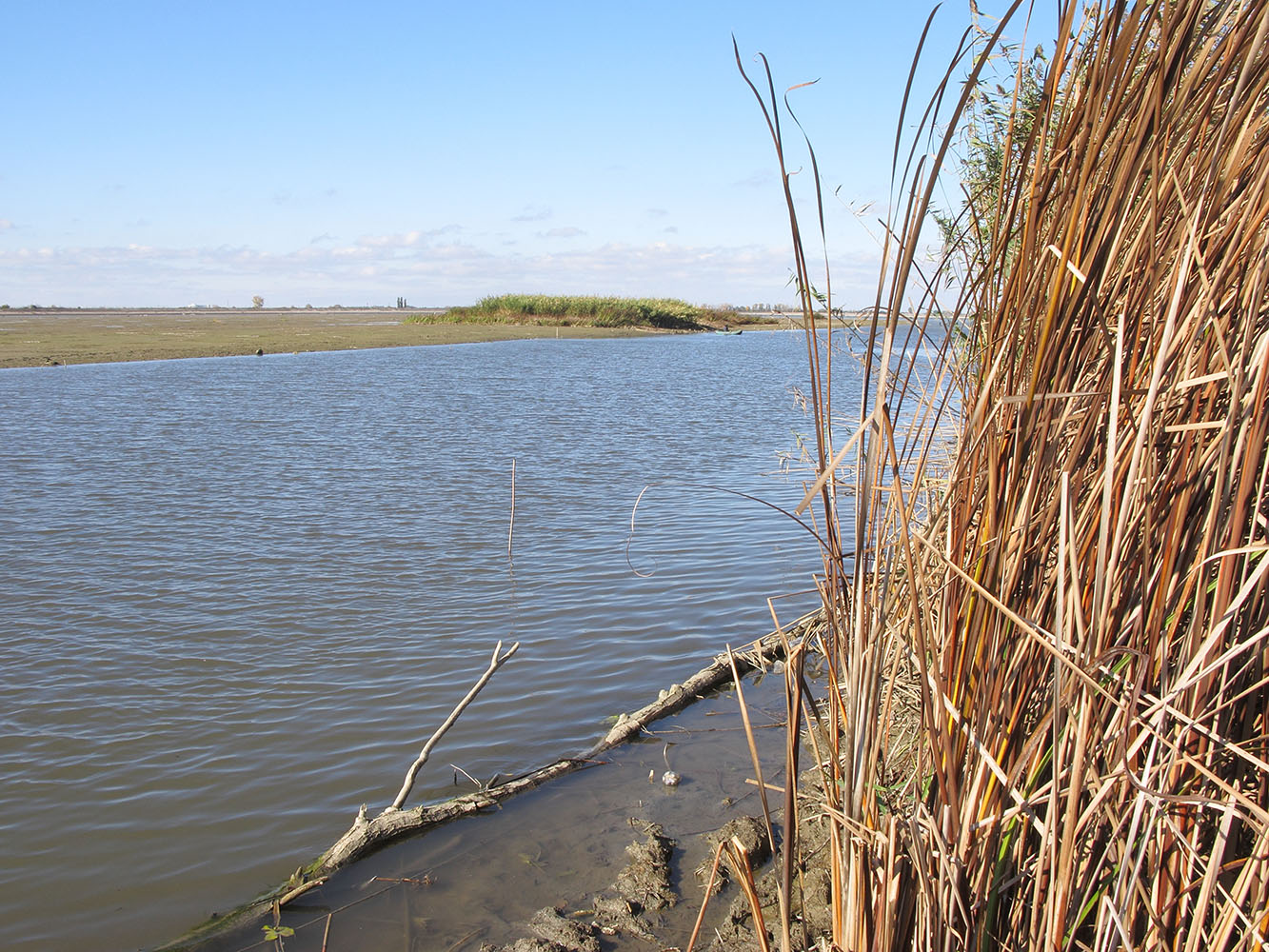 Варнавинское водохранилище, image of landscape/habitat.