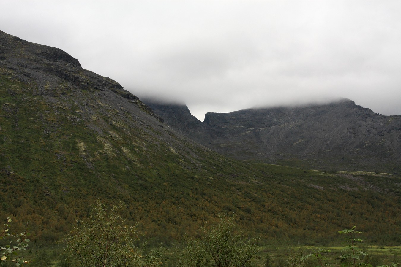 Долина Малого Вудъявра, image of landscape/habitat.