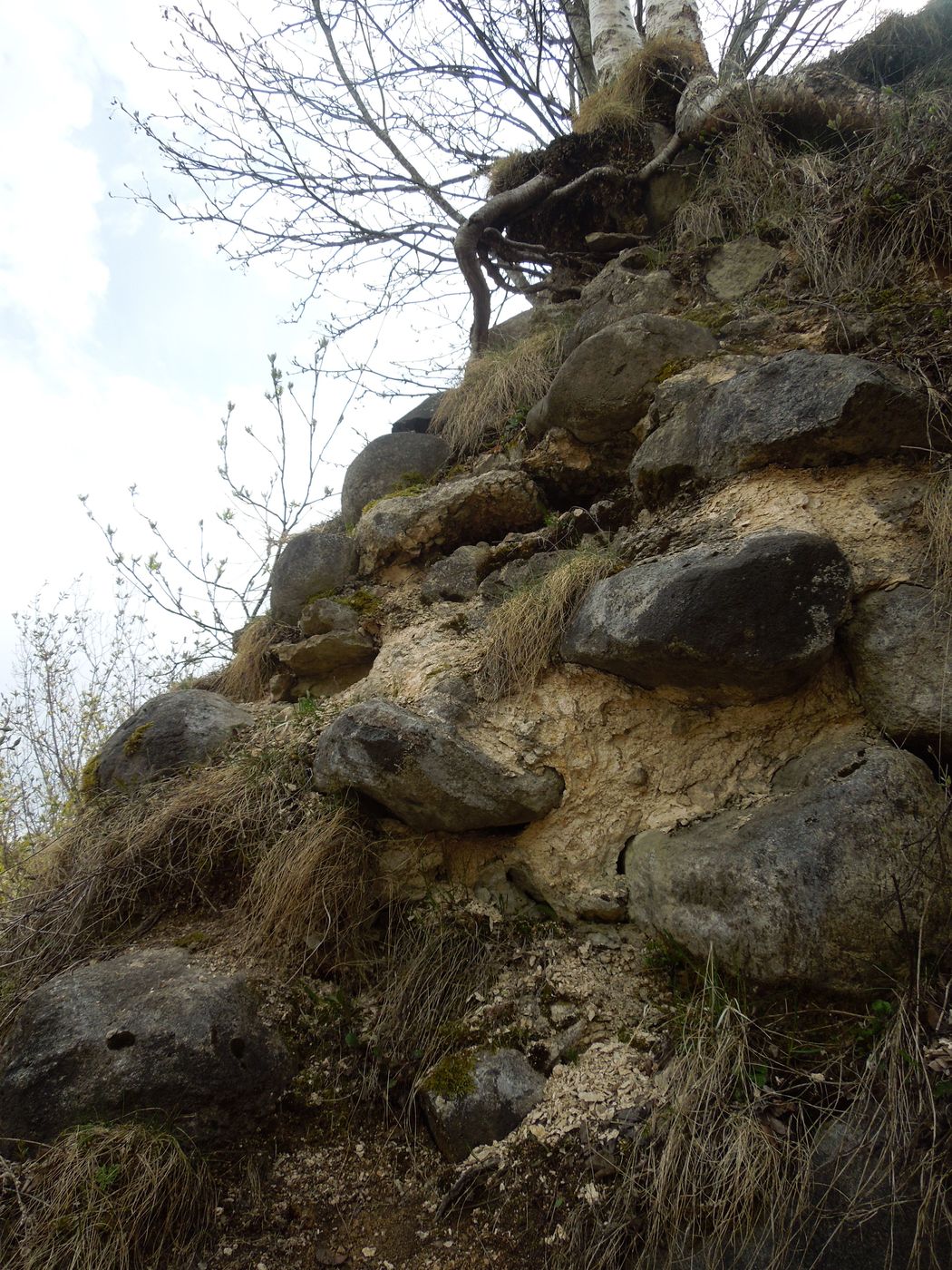 Старая Ладога, image of landscape/habitat.