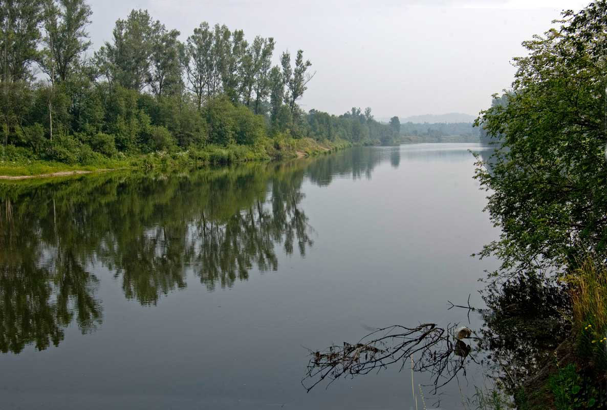 Окрестности деревни Уфа-Шигири, image of landscape/habitat.