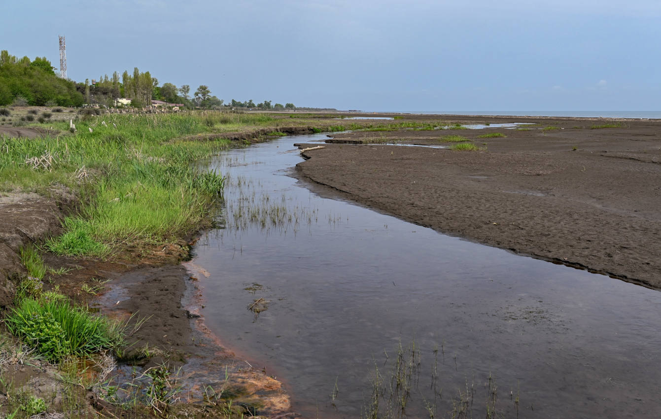 Окрестности села Приморский, image of landscape/habitat.