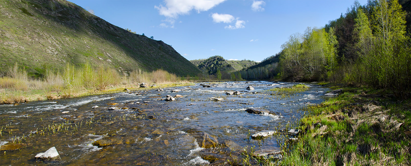 Янтышево и окрестности, image of landscape/habitat.