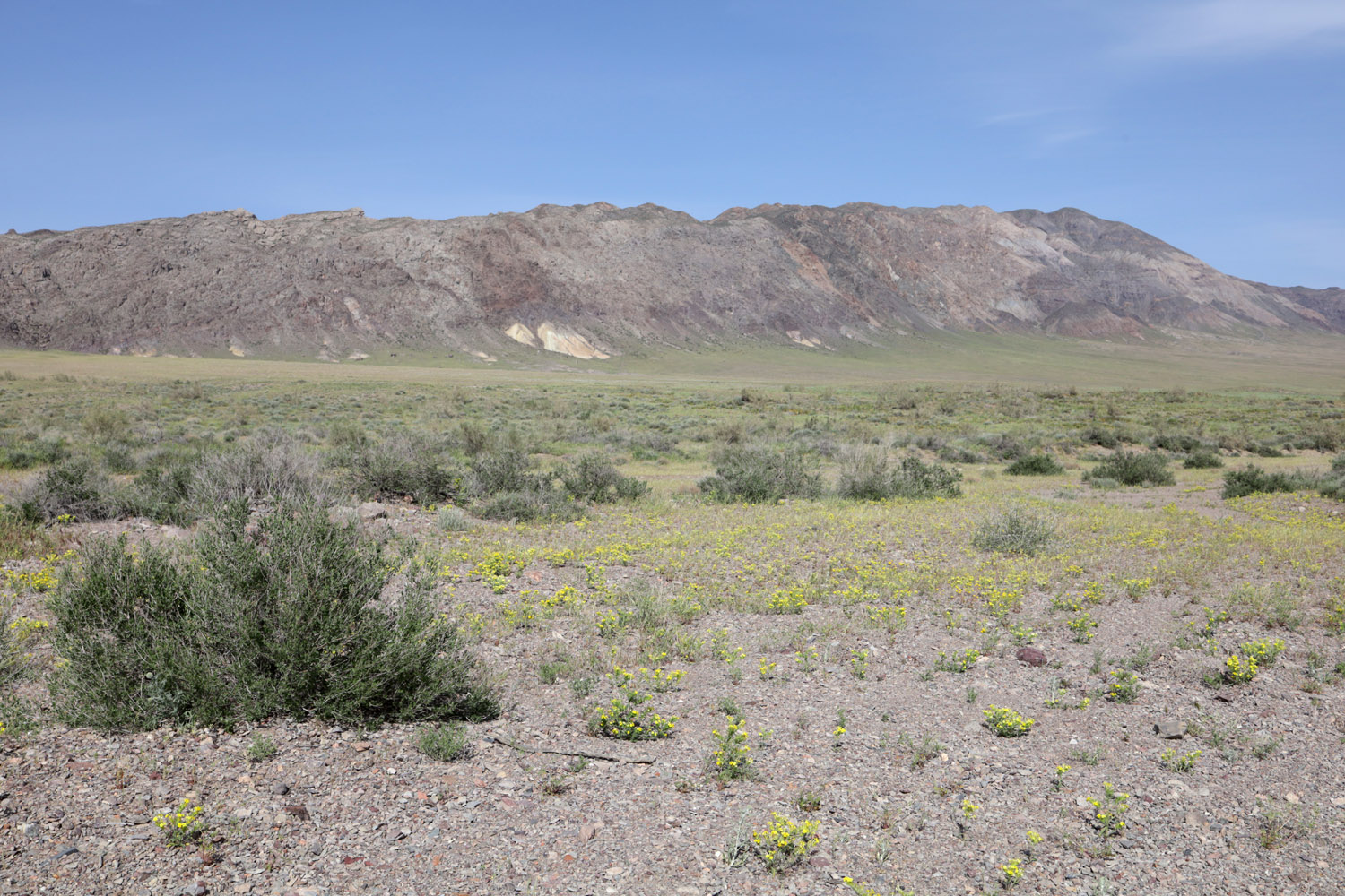 Айгайкум (Поющий бархан), image of landscape/habitat.