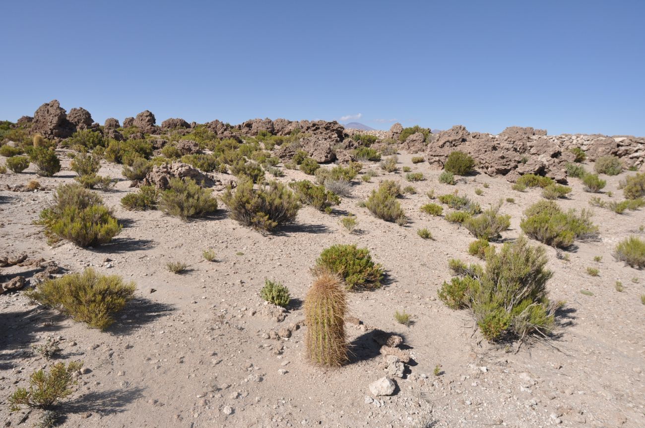 Окрестности села Сан-Хуан, image of landscape/habitat.