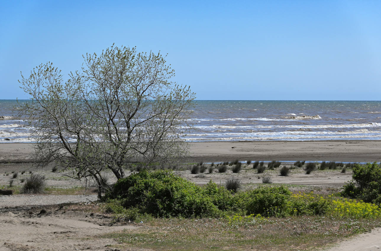 Окрестности села Приморский, image of landscape/habitat.