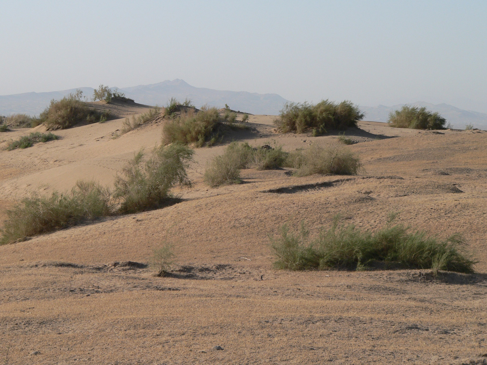 Курджалакум, изображение ландшафта.