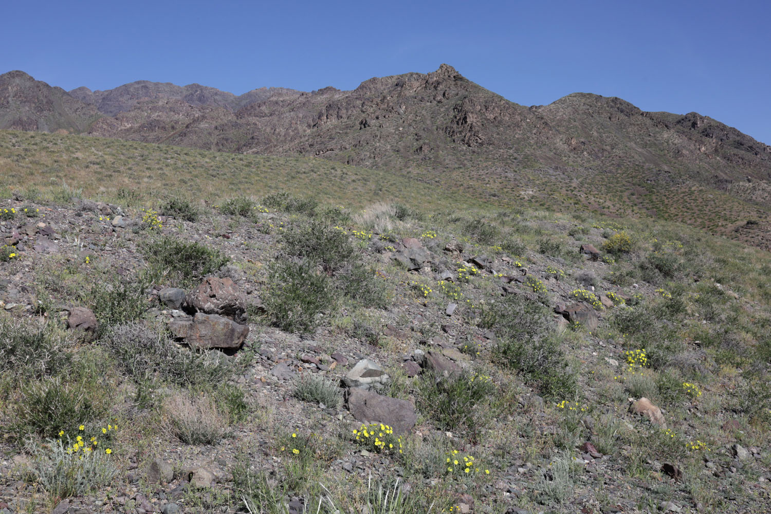 Шылбыр, image of landscape/habitat.