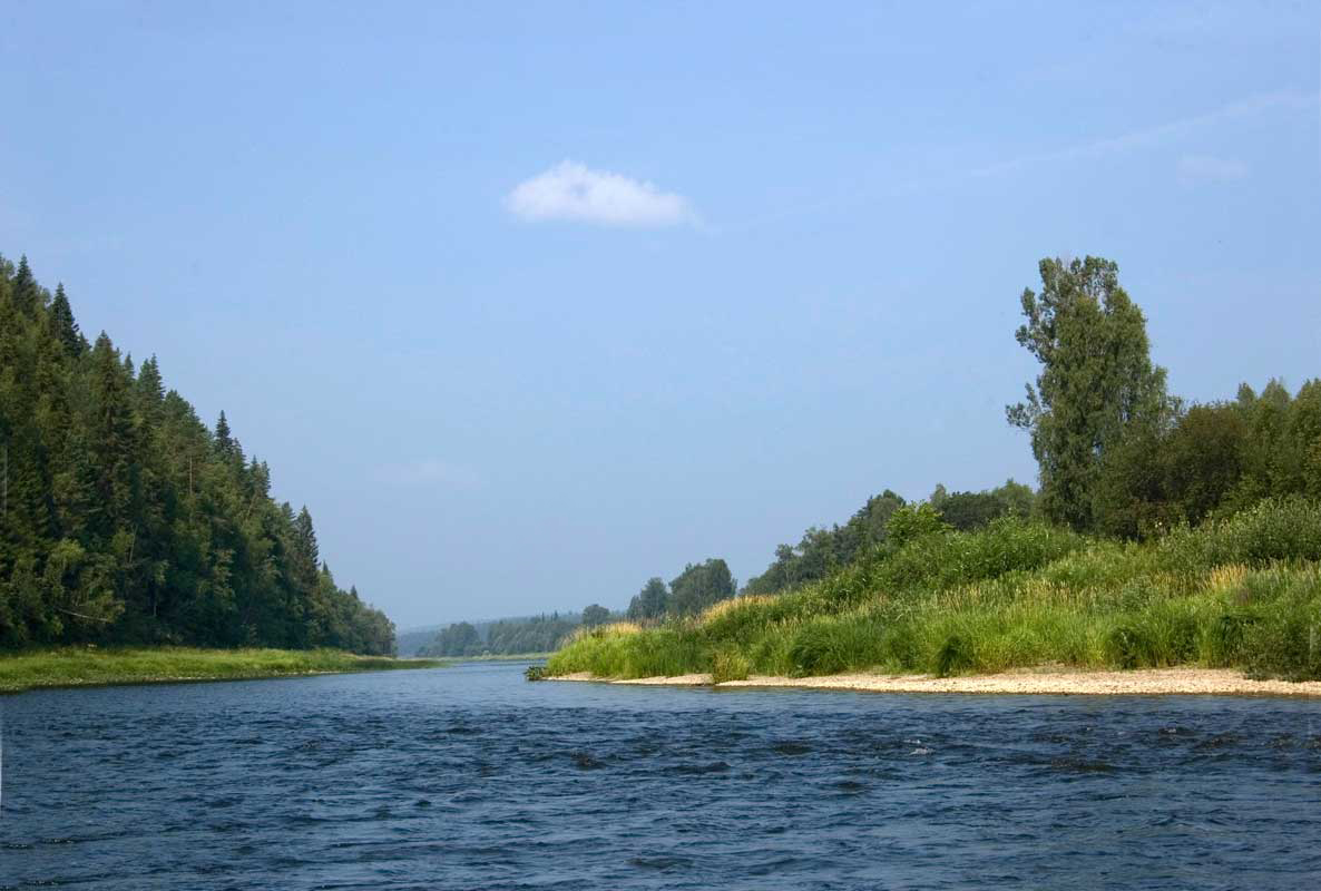 Окрестности посёлка Усть-Югуш, image of landscape/habitat.