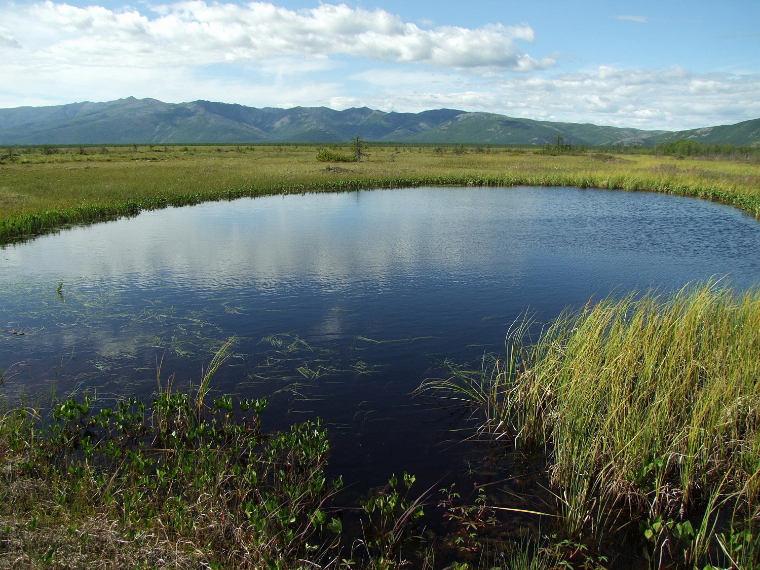 Глухое, image of landscape/habitat.