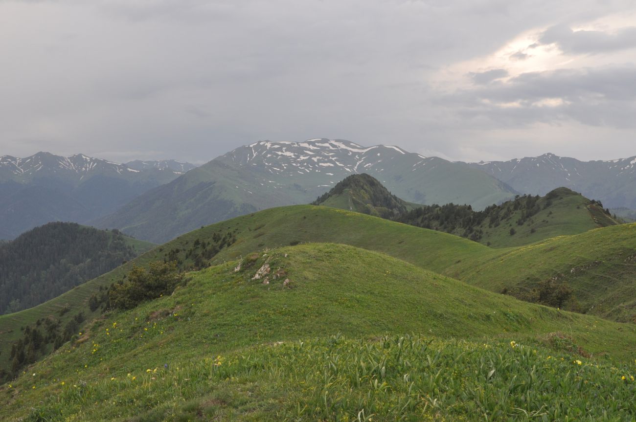 Гора Ломис-Мта, изображение ландшафта.