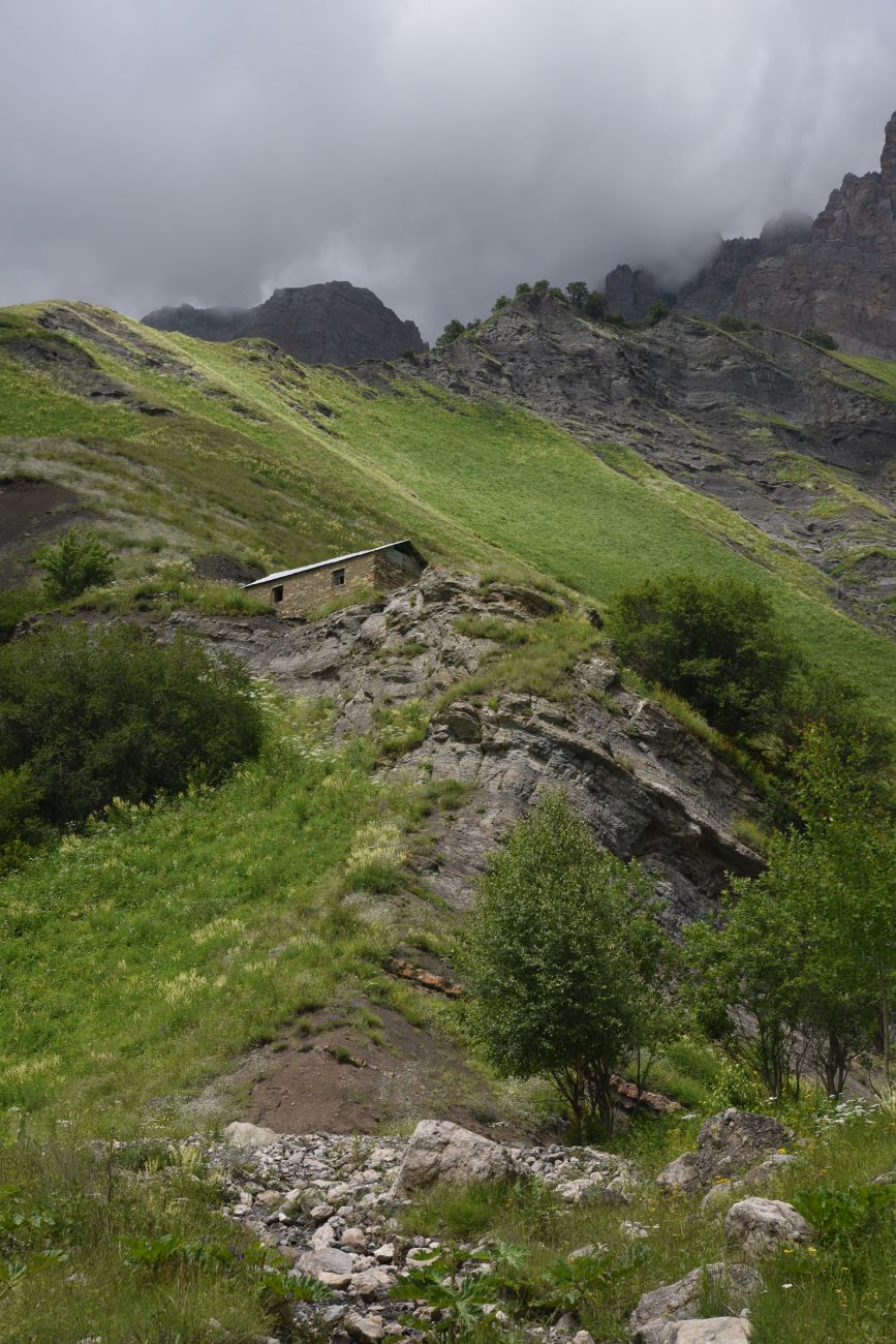 Дом Патимат, image of landscape/habitat.