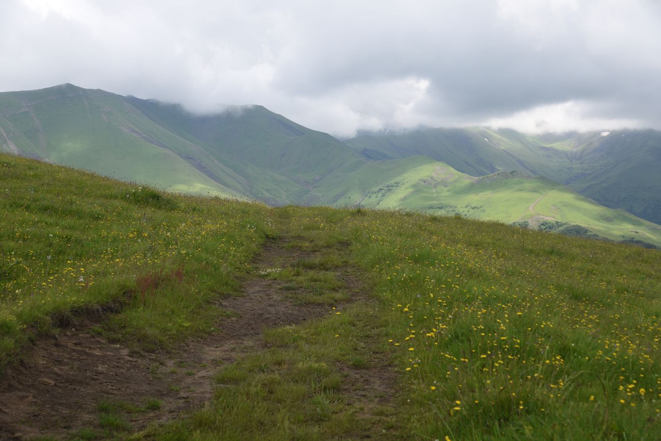 Верховья Хашелдойахк, image of landscape/habitat.