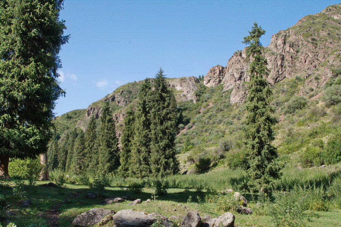 Ущелье реки Малый Дардамты, image of landscape/habitat.