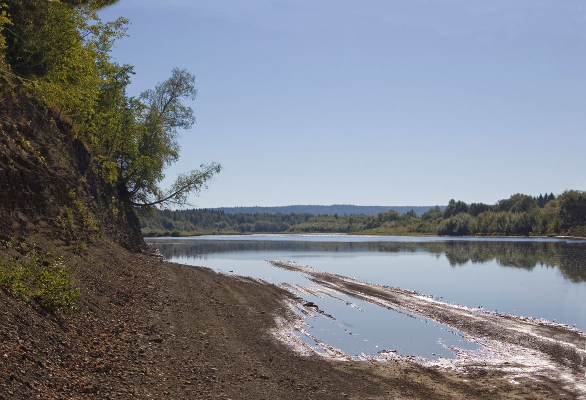 Окрестности деревни Ванькова, image of landscape/habitat.