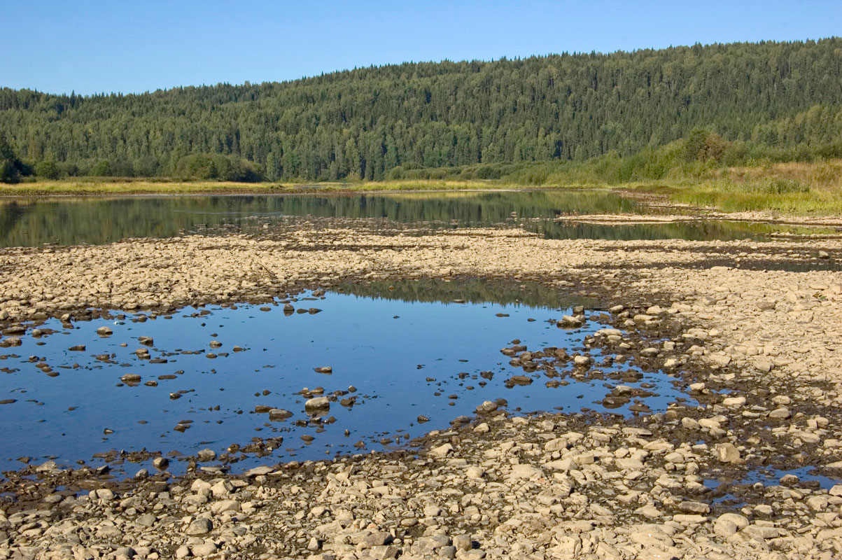 Окрестности деревни Ванькова, image of landscape/habitat.