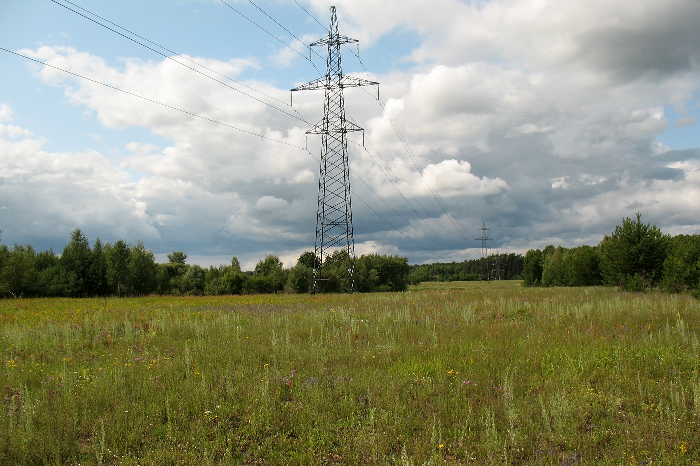 Окрестности д. Лужки, image of landscape/habitat.