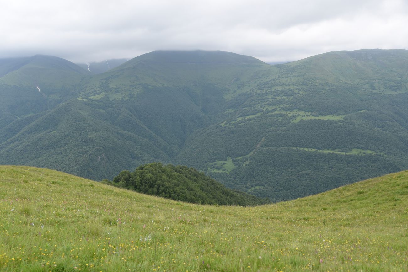 Верховья Хашелдойахк, image of landscape/habitat.