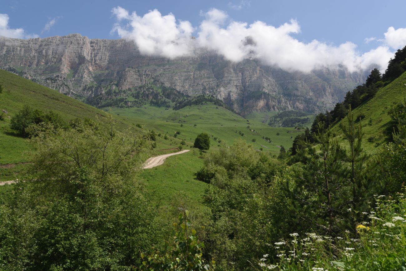 Окрестности урочища Пялинг, image of landscape/habitat.