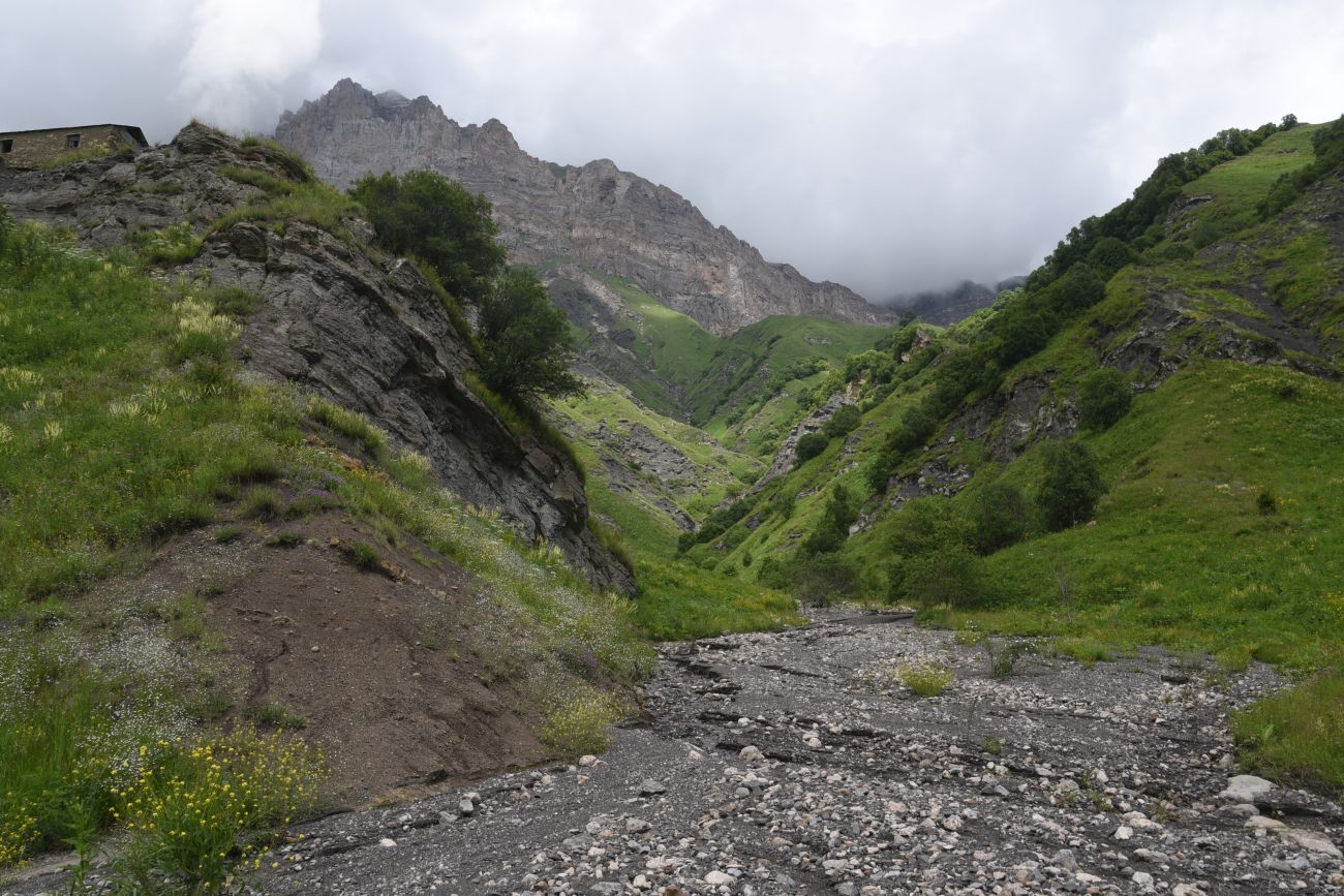 Дом Патимат, image of landscape/habitat.