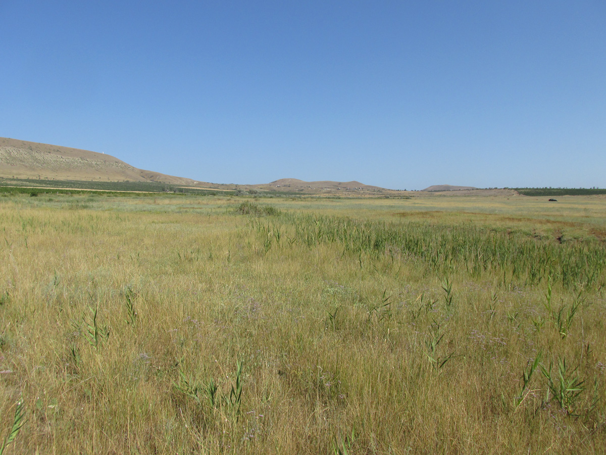 Озеро Бараколь, image of landscape/habitat.