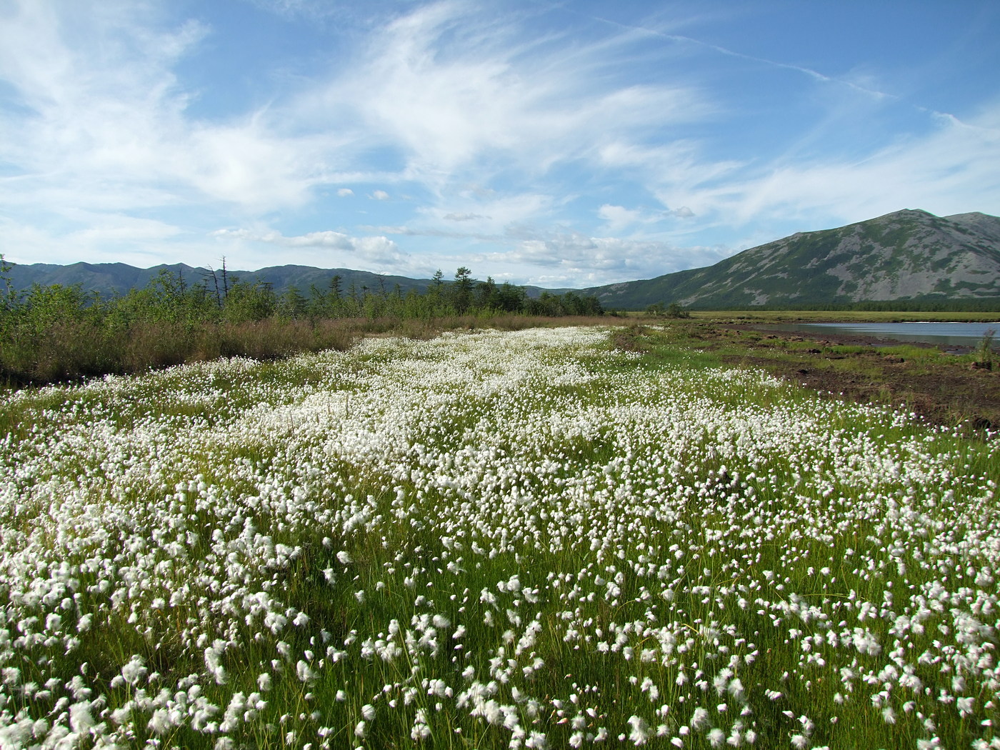 Глухое, image of landscape/habitat.