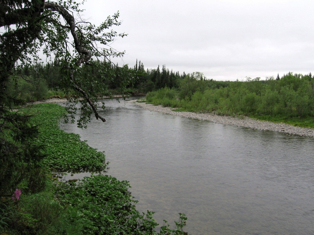 Грубею, image of landscape/habitat.