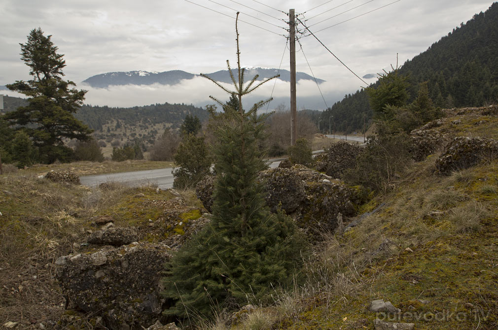 Витина и окрестности, image of landscape/habitat.