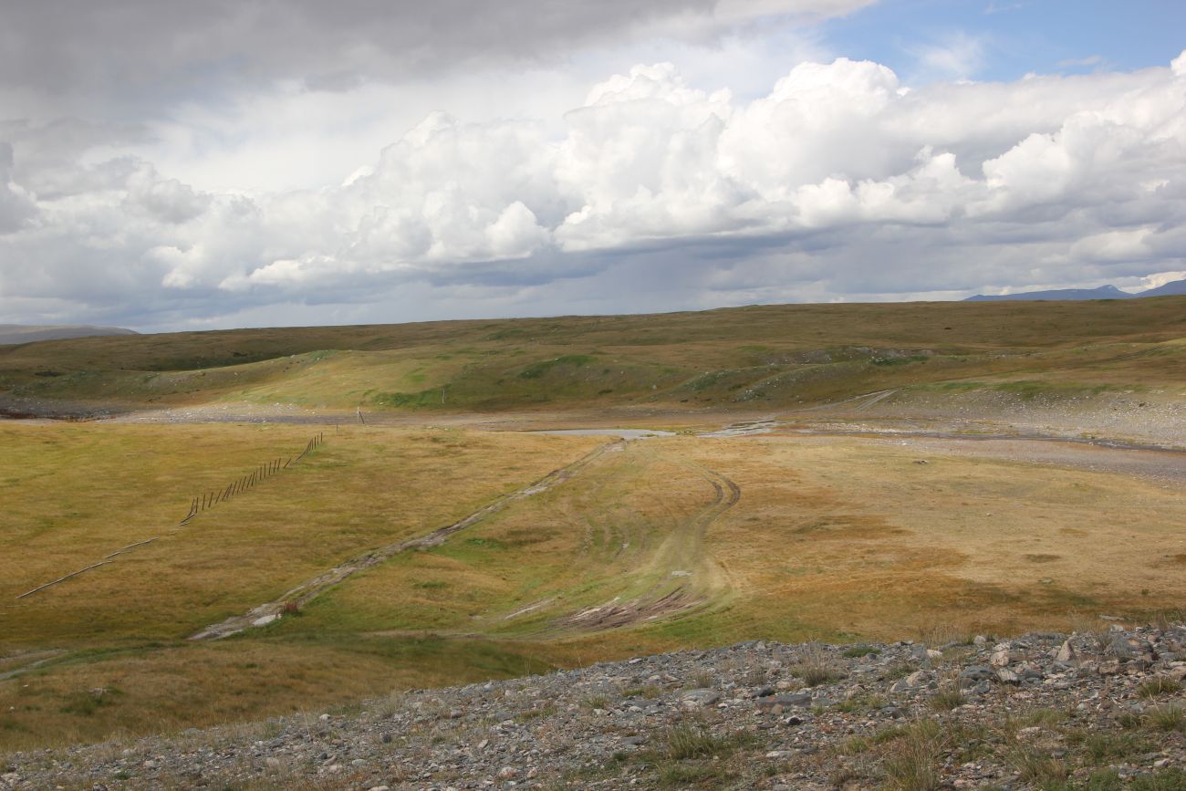 Окрестности реки Музды-Булак, image of landscape/habitat.